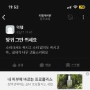 세이하이 이미지