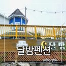 달밤펜션 | 태안 애견 동반 펜션 : 안면도 꽃지해수욕장 근처 수영장 개별 바베큐 가능한 달밤펜션