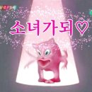 비디엠티 이미지