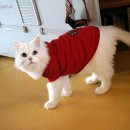 우성세차장 이미지