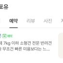 퍼피포유 이미지