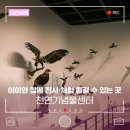 상주 운평리 구상화강암 | 대전 아이와 함께 전시·체험 즐길 수 있는 곳, 천연기념물센터