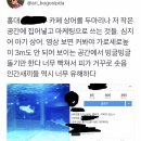 트윗에서 논란중인 홍대 카페 동물학대.jpg 이미지