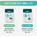 밸런스독 | 강아지사료 이즈칸 신제품 독 시니어 밸런스 후기