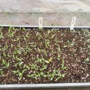 영고농장 이미지