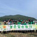 뽑기남녀 이미지