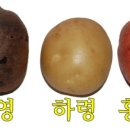 한결농산 이미지