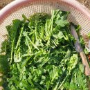 팔봉농원 이미지