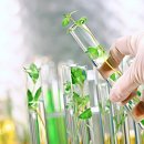 새로난한방병원 이미지