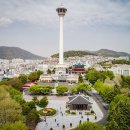 용두산공원 Daum카페