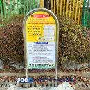 부용초등학교 이미지