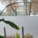 위너인셀덤 이미지