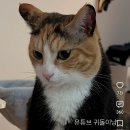 코트 이쁜 거 입었네 이미지