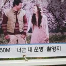 너는내운명 이미지