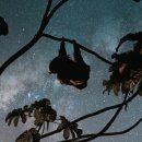 별 내린 커피 이미지