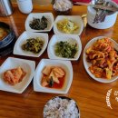 강화도 쭈꾸미 맛집 한자리 한턱 솔직한 후기