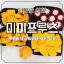 망고호텔 | 나트랑 미미프루츠 과일배달 후기 🍍 호텔에서 망고 망고스틴 먹기 (나트랑 과일배달 추천)