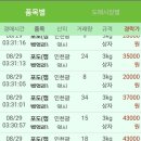 강화청과
