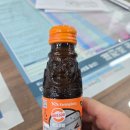 제주바른공인중개사사무소 이미지