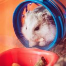 시지동물병원 이미지