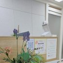 심리상담연구소마음온마음 - 강남구 강남대로44길 16 | 심리상담연구소마음온마음