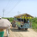 금사농장 이미지