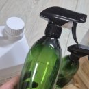 대자연세탁 이미지