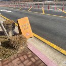 권가제면소 오송점 이미지