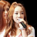 탱탱 이미지