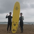 서프베이 이미지