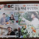 용문칼국수 이미지