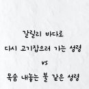 갈릴리 바다로 다시 고기잡으러 가는 성령 vs 목숨 내놓는 불 같은 성령 이미지