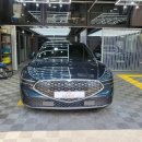 스팀샤인 이미지