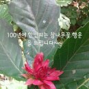 동성농장 이미지