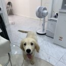 스타힐링센터 | 내 몸상태를 알고 운동싶다면!! 일산바로체형교정힐링센터로‼️‼️ 동스타의 솔직한 후기