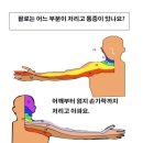 기본 필라테스&피티# 이미지