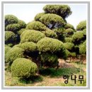 팔복초등학교 이미지