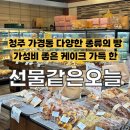 [청주] 가경동 빵집 추천 선물같은오늘 (메뉴·가격·케이크 종류 정리)
