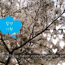 청림조경공사 이미지