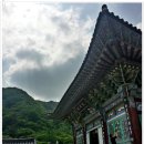 스마트폰 활용A 이미지