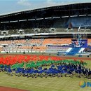 태극인 허브 이미지