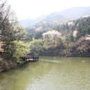 구덕야영장 이미지