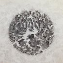 &#39;Netizen &#39;Photo News&#39; 2014. 11.19(수) 이미지