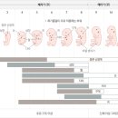 250-1-000035 | [부산산부인과]임신/임신후기/임신증상/목화산부인과