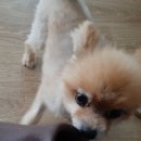 개포하나공인중개사사무소 이미지