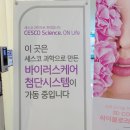 레이크체형관리 이미지
