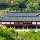 완도수목원산림박물관 투어코리아