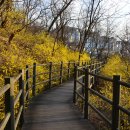 신락어린이공원 이미지