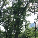 장수공원 이미지