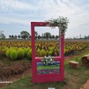 나주영산포철도공원 이미지